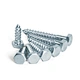 DIN571 Wood Screw Zinc Plated